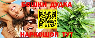 a pvp Свободный