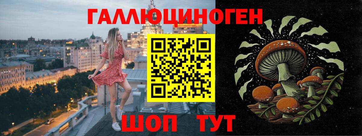 Балтийск  закладки  Псилоцибиновые грибы Psilocybine cubensis  Вход с VPN  Псилоцибиновые грибы Magic Shrooms 